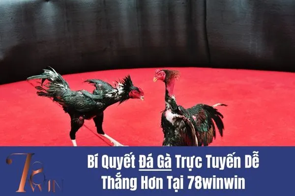 Đá Gà Trực Tuyến Dễ Thắng