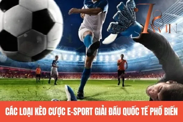 Các loại kèo cược E-sport giải đấu quốc tế phổ biến