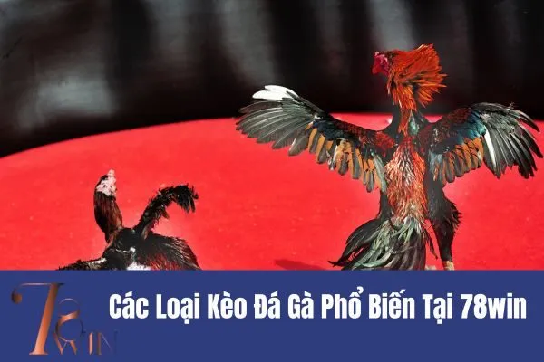 Kèo Đá Gà Cựa Sắt