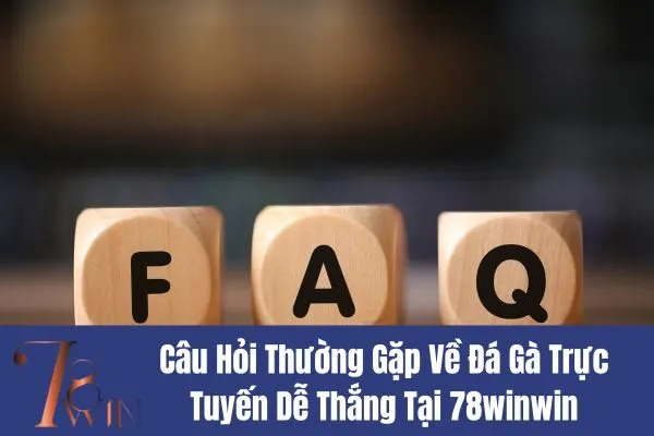 Đá Gà Trực Tuyến Dễ Thắng