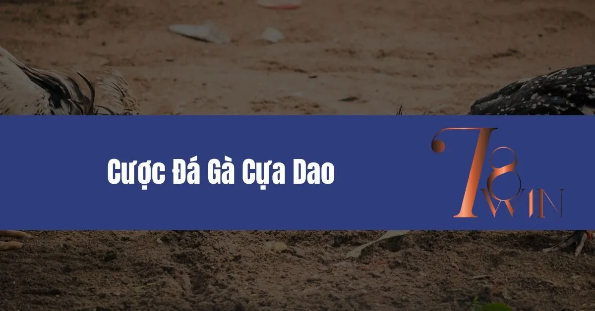 Cược Đá Gà Cựa Dao