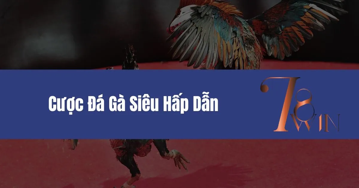 Cược Đá Gà Siêu Hấp Dẫn