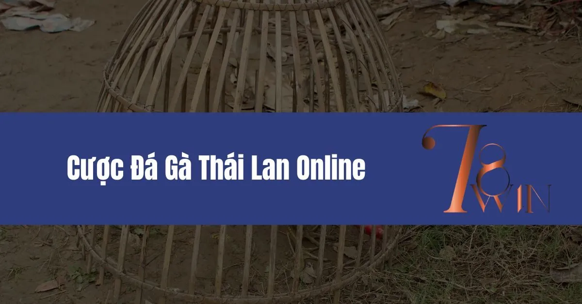 Cược Đá Gà Thái Lan Online