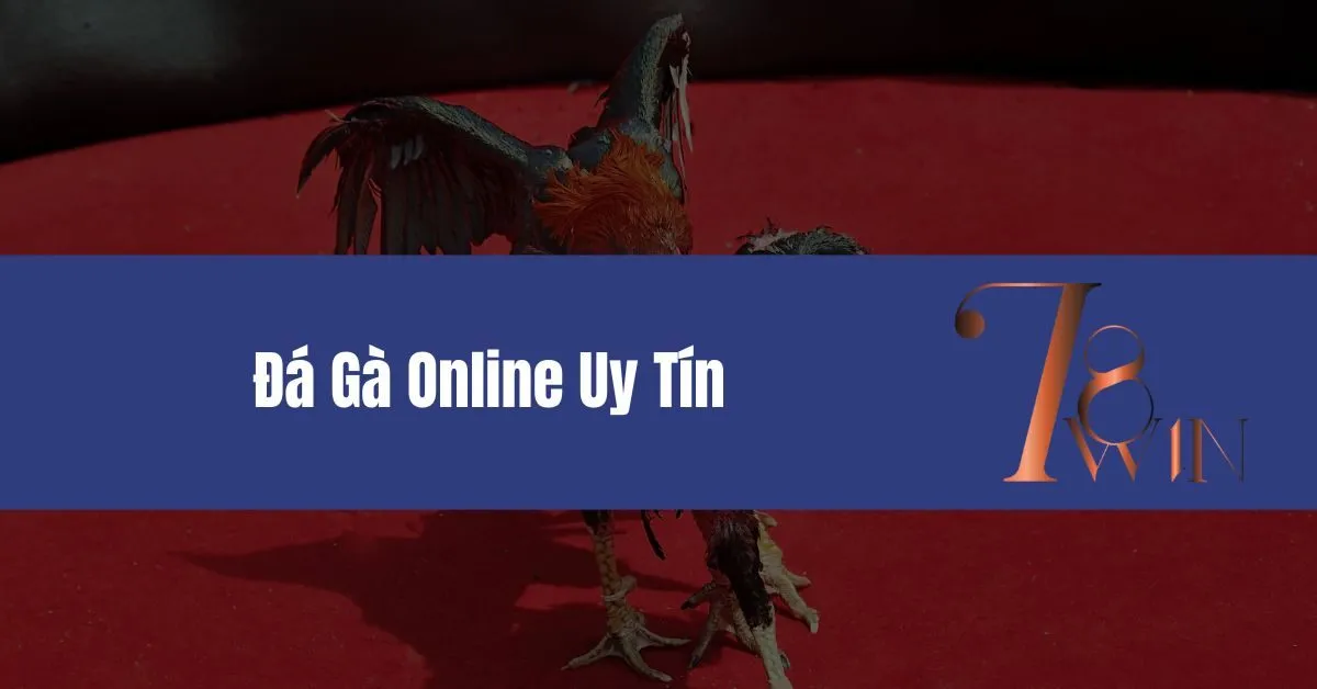 Đá Gà Online Uy Tín