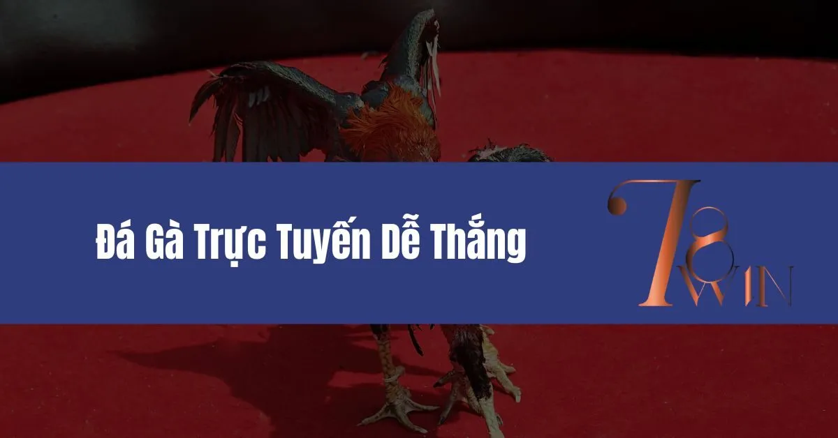 Đá Gà Trực Tuyến Dễ Thắng