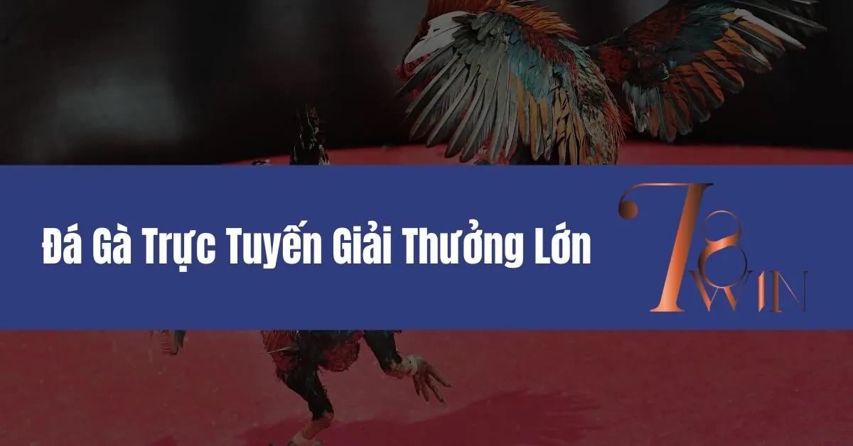 Đá Gà Trực Tuyến Giải Thưởng Lớn