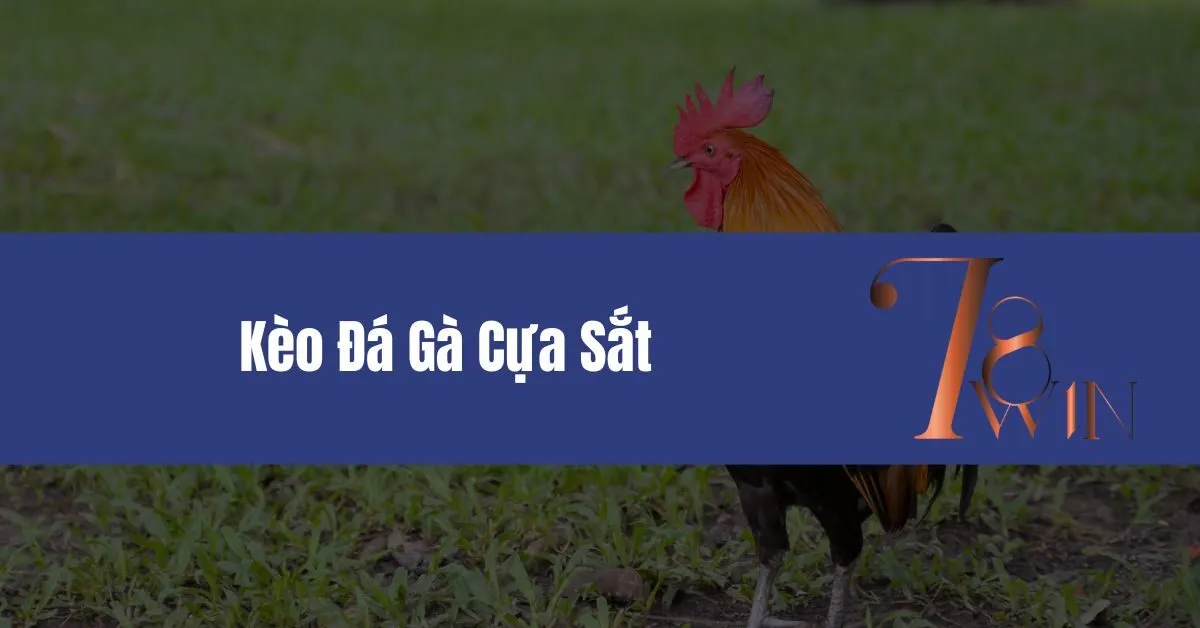 Kèo Đá Gà Cựa Sắt