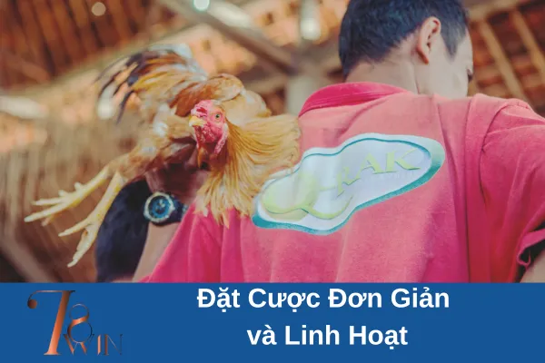 Đá gà Philippines